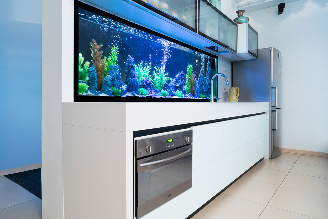 צילום אדריכלות ועיצוב פנים