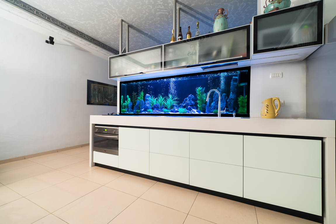 צלמי אדריכלות ועיצוב פנים