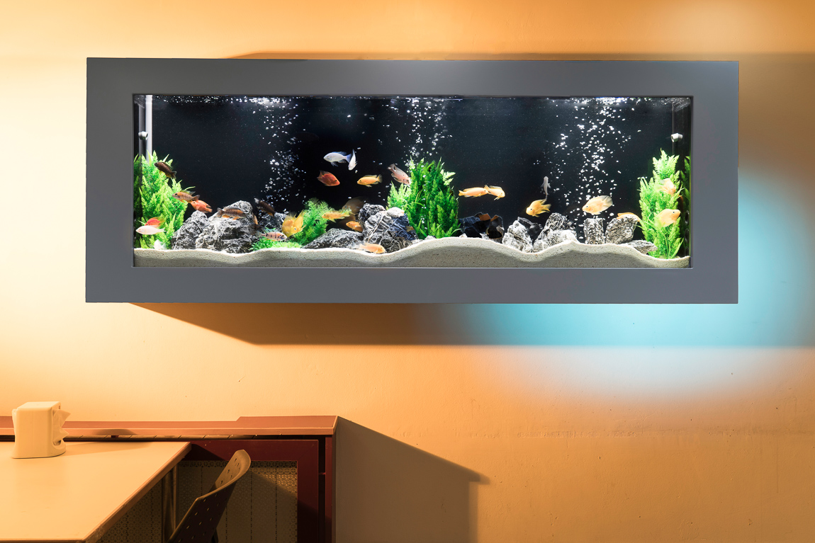 צלם אדריכלות נוף